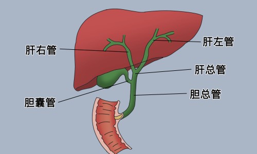 肾结石病人能补钙吗-肾结石病人能吃丑橘网-分享肾结石病人能吃黄豆吗，肾结石病人能吃黄豆吗知识库